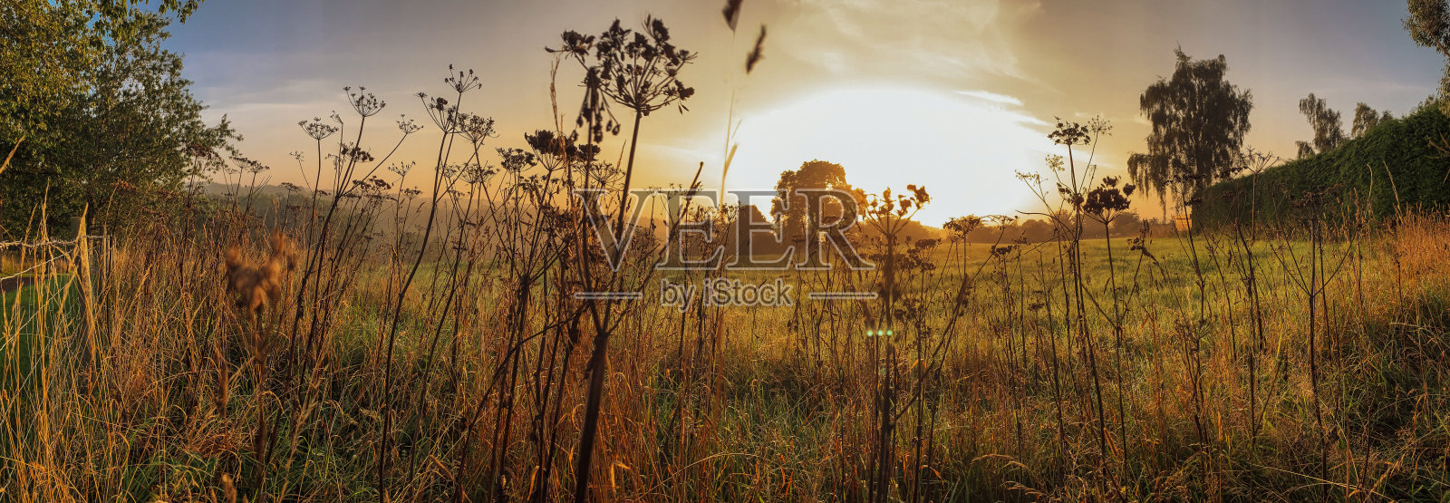 升起的太阳照片摄影图片