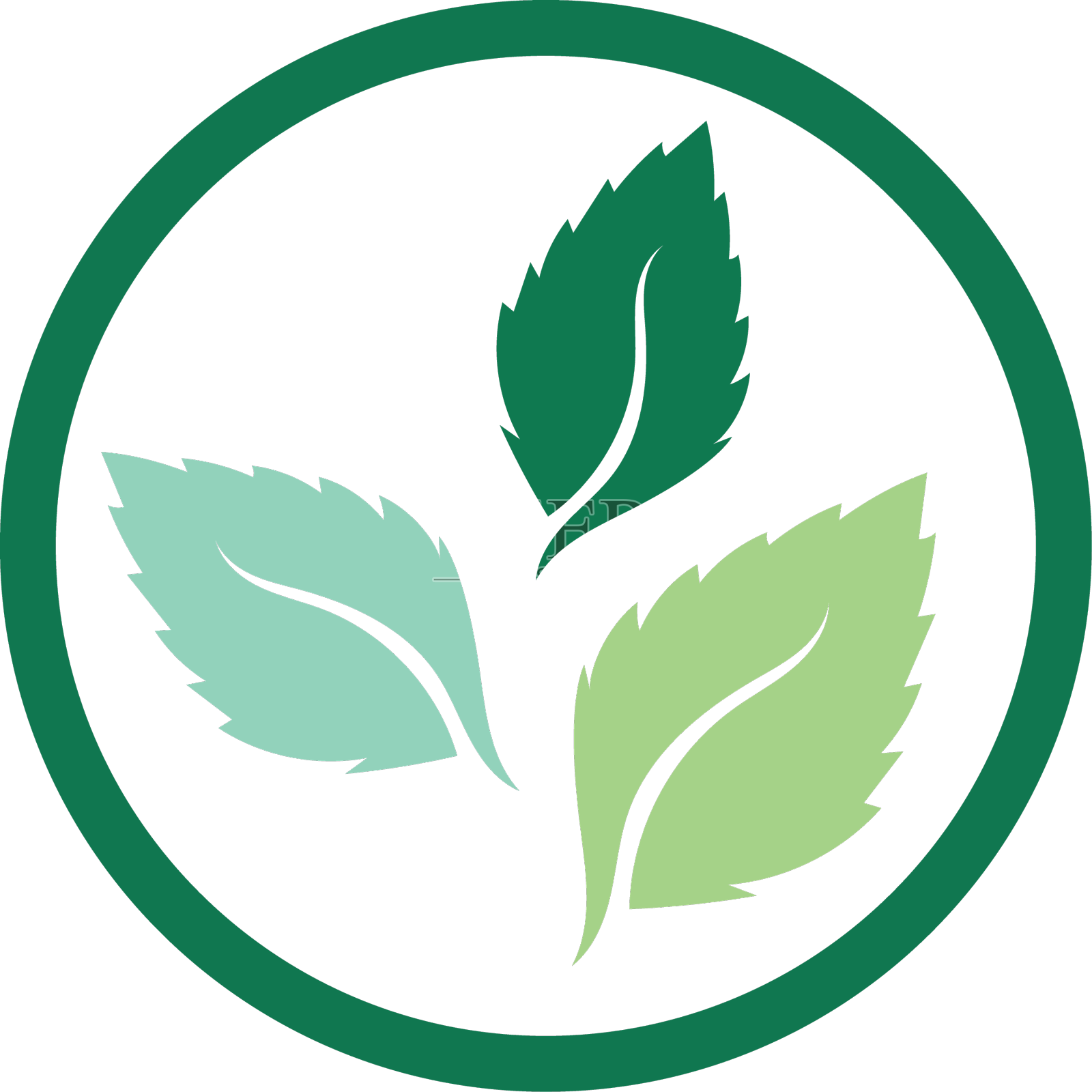 薄荷叶平坦的颜色图标图标素材