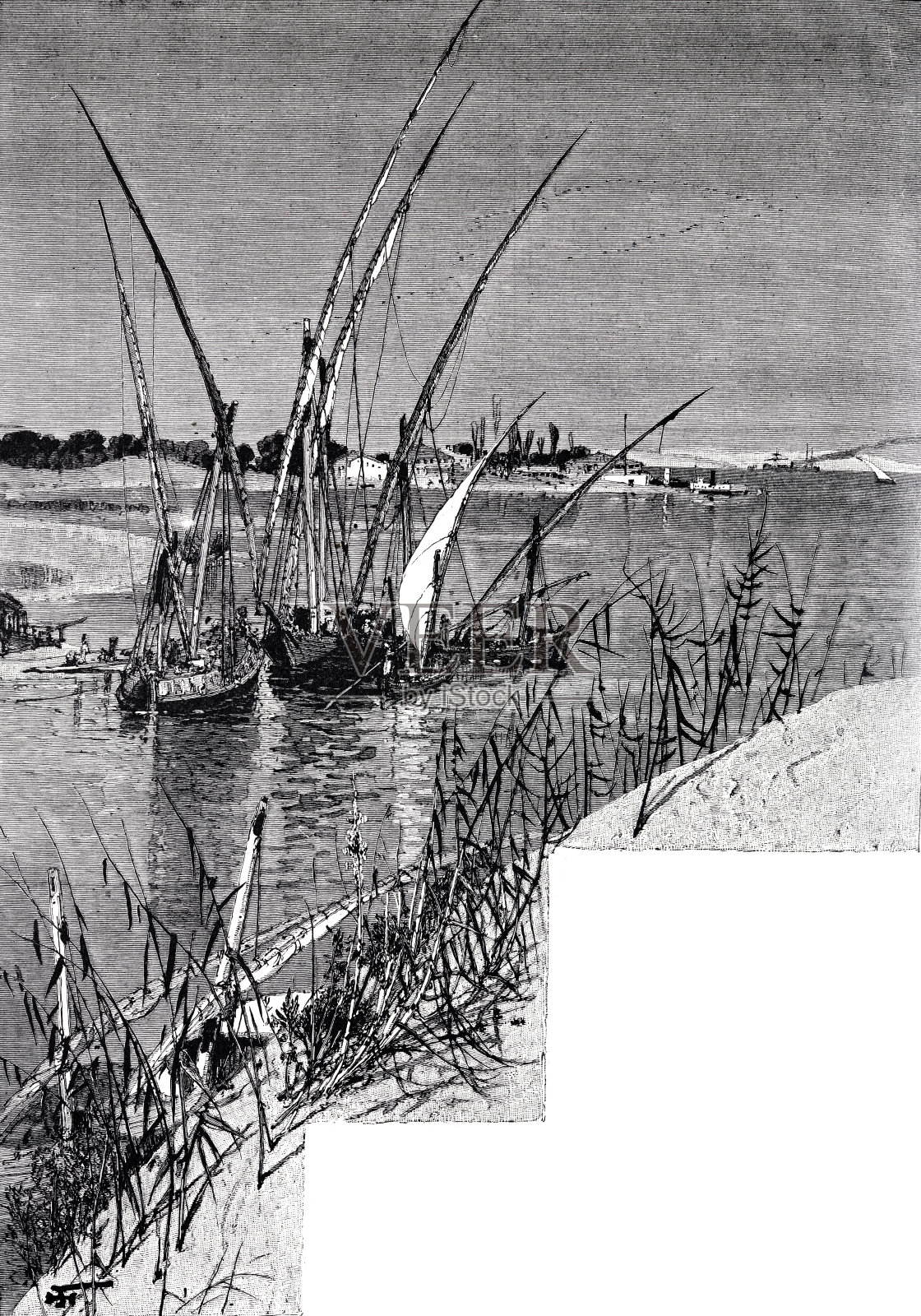 提姆萨赫湖插画图片素材