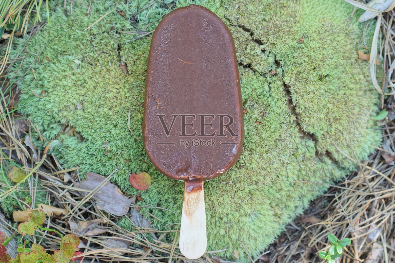 一个棕巧克力冰淇淋躺在青苔上照片摄影图片