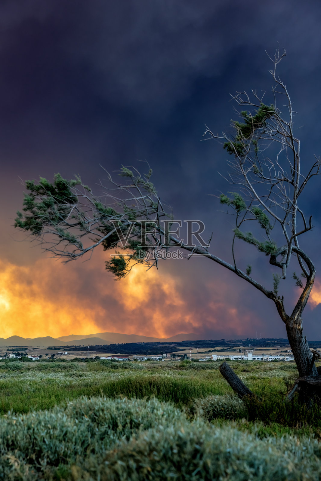 毁灭性的野火发生在希腊亚历山德鲁波利斯埃夫罗斯，生态环境灾难，烟雾笼罩天空，树木剪影照片摄影图片