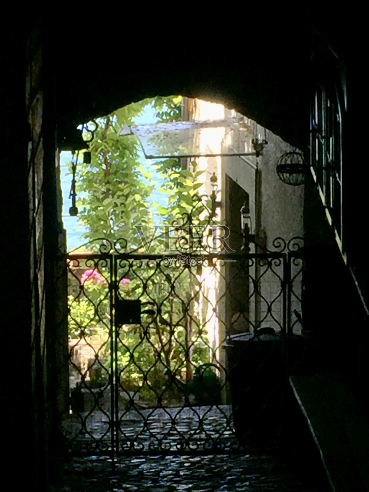 瑞士-沃州-圣萨波林-拉沃的梯田照片摄影图片