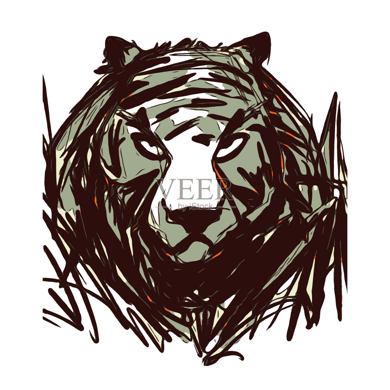 老虎插图插画图片素材