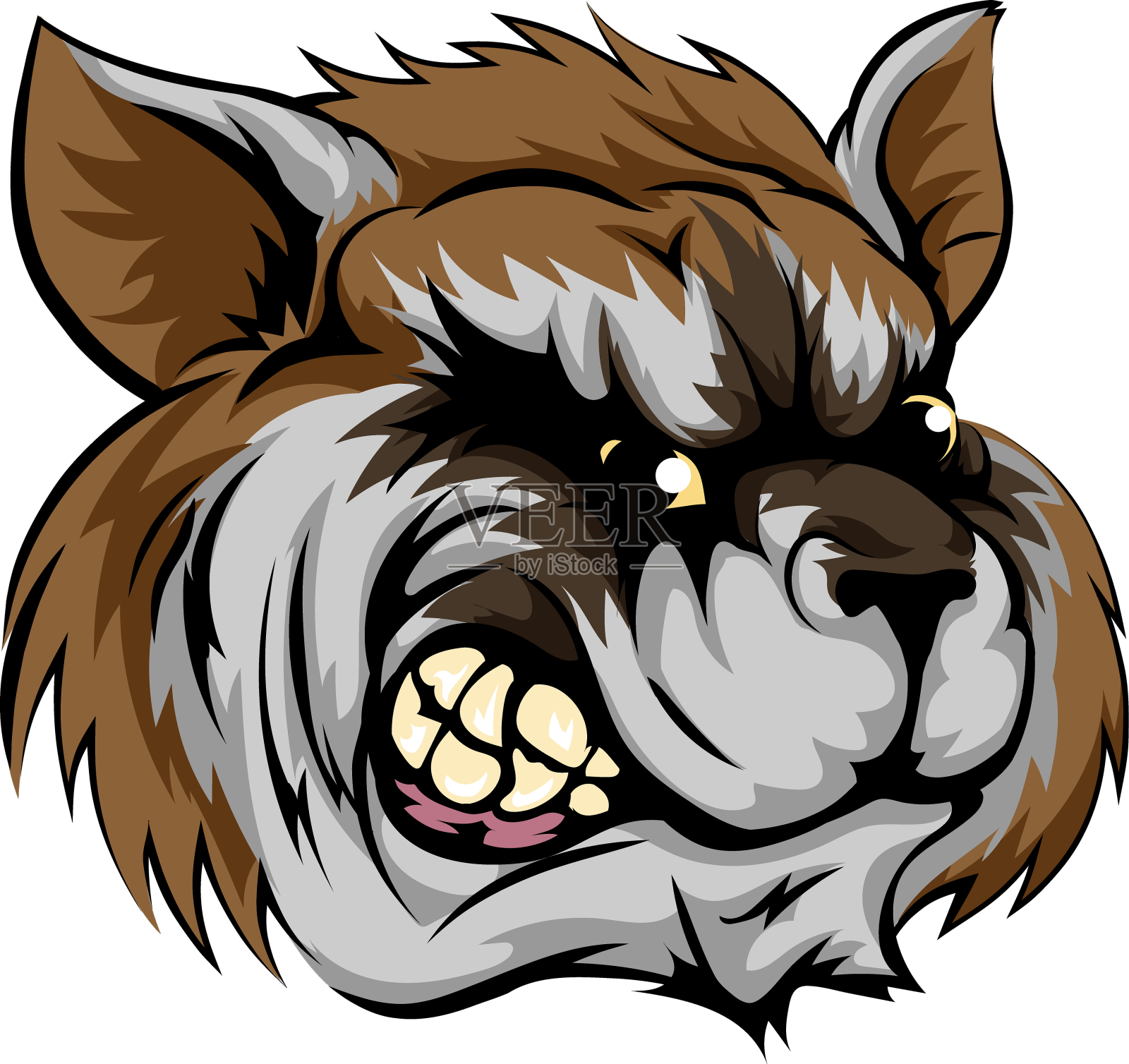 浣熊吉祥物字符设计元素图片