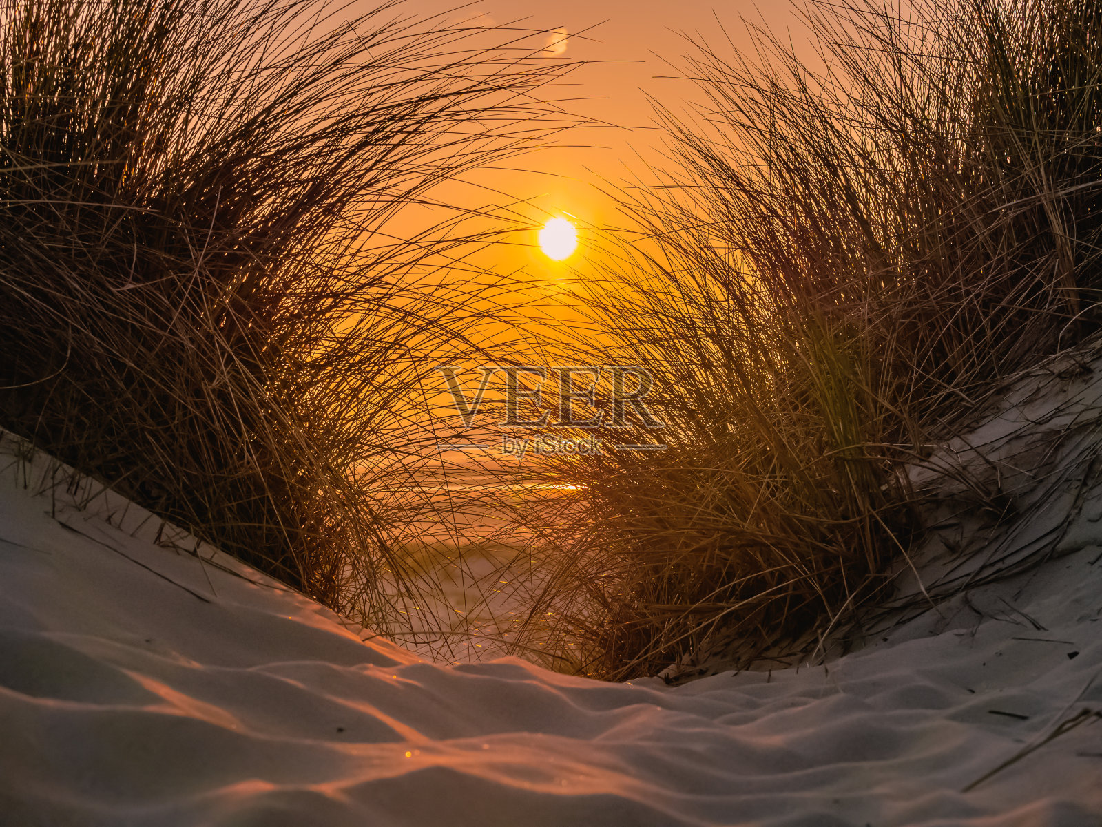 透过草地覆盖的沙丘观看日落照片摄影图片