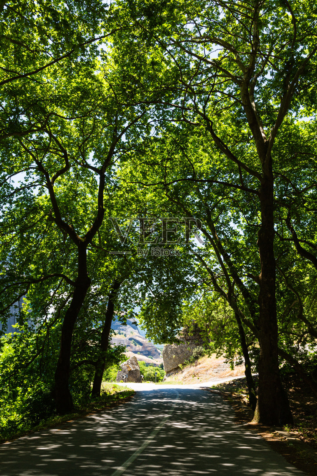 希腊迈泰奥拉的树木隧道和道路照片摄影图片
