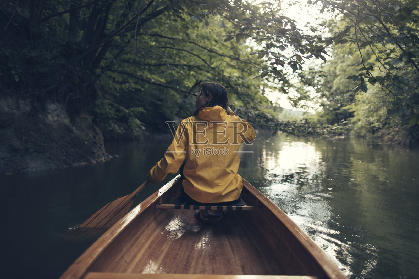 雨林划独木舟照片摄影图片