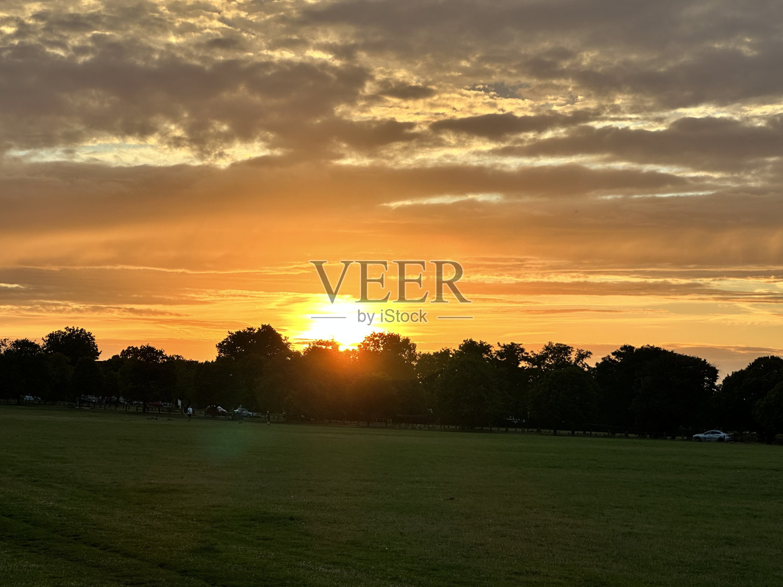 公园黄金时光照片摄影图片