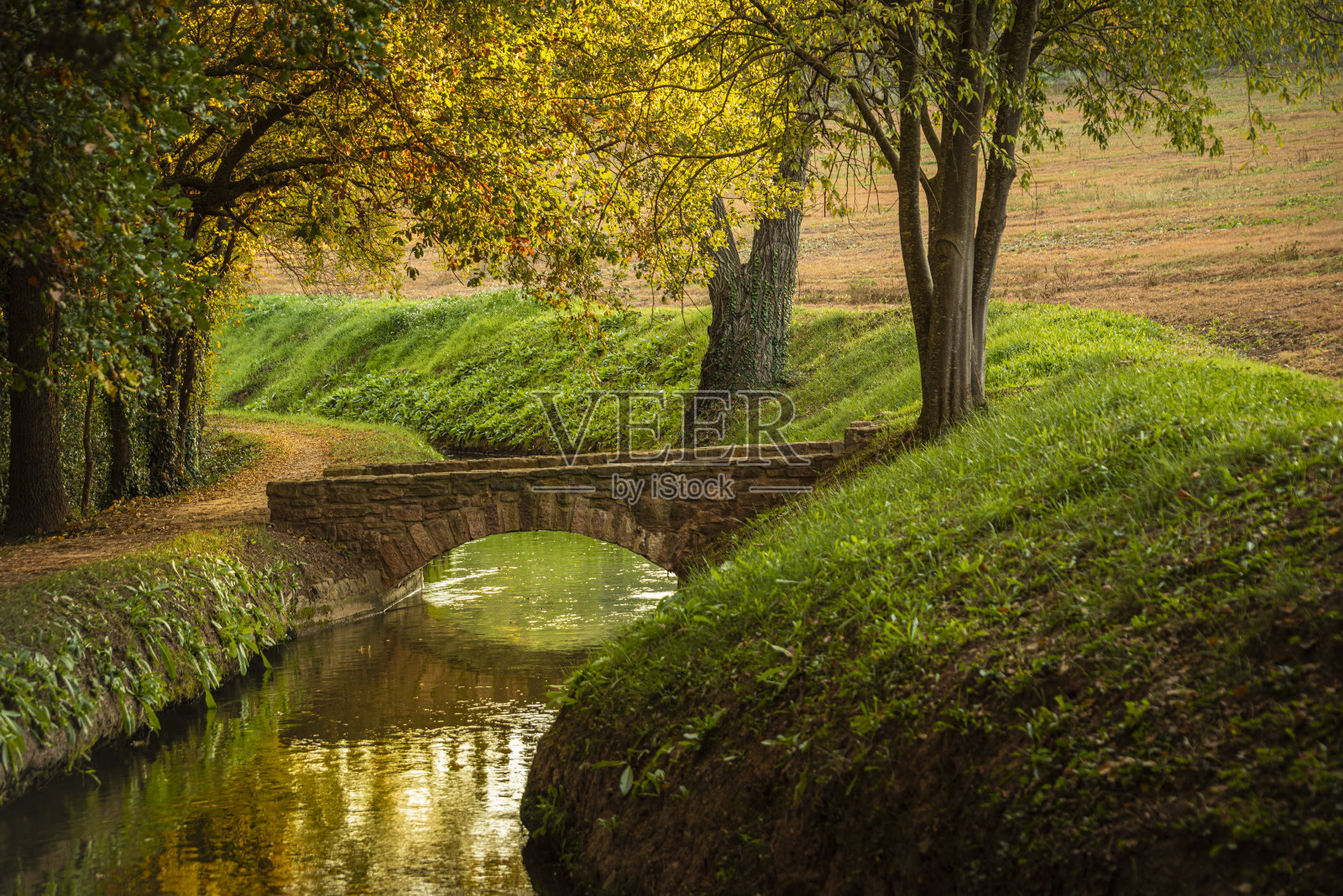 曼雷萨的旱情照片摄影图片