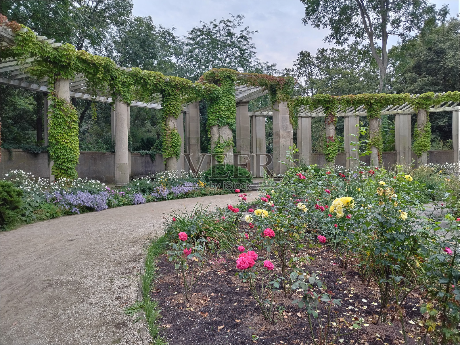 柏林的大花园——花坛和一些柱子照片摄影图片