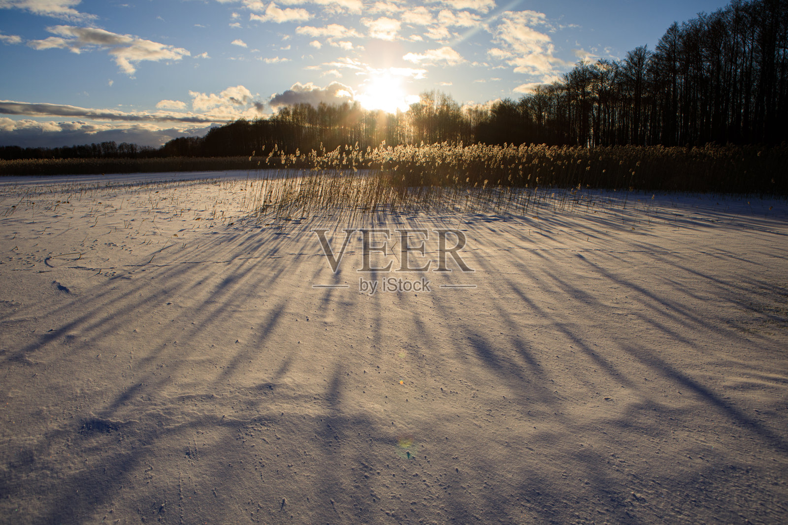 日落时芦苇绕着湖照片摄影图片