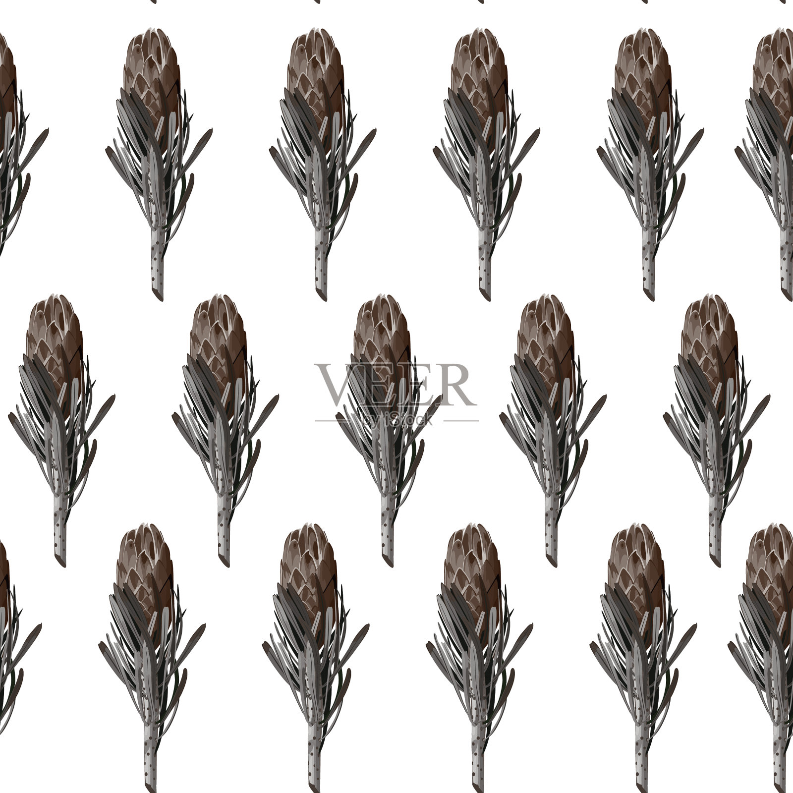 花卉无缝图案protea花插画图片素材