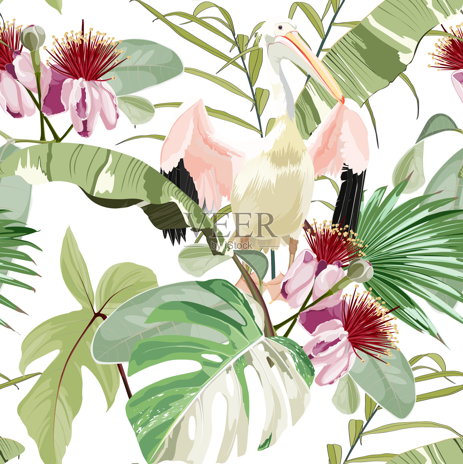 鹈鹕和奇异的花棕榈叶插画图片素材