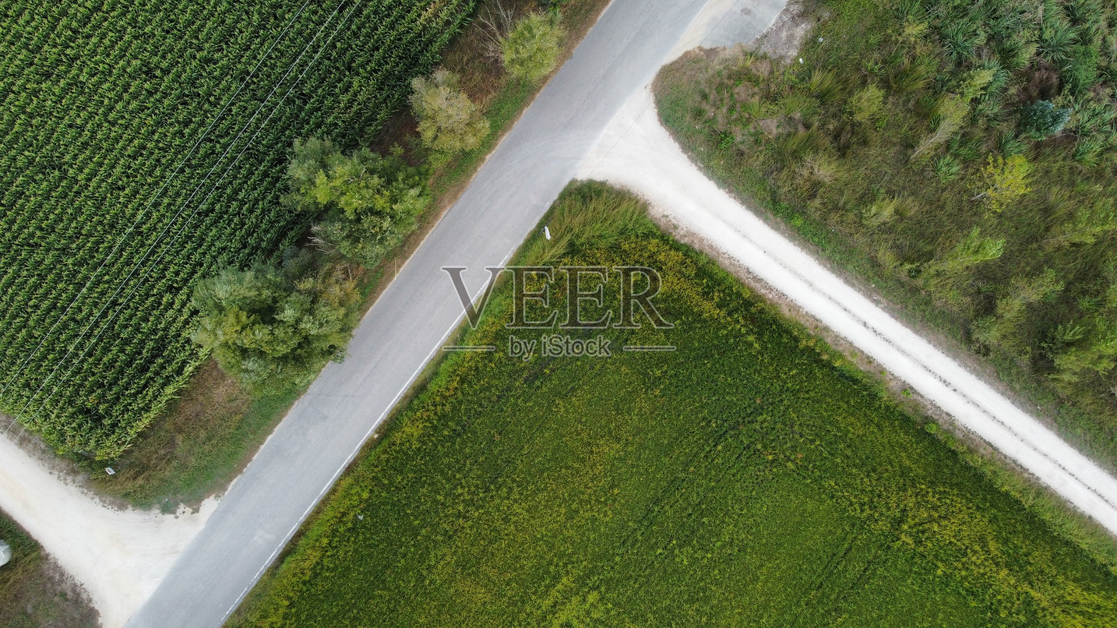 三种方式相同的命运照片摄影图片