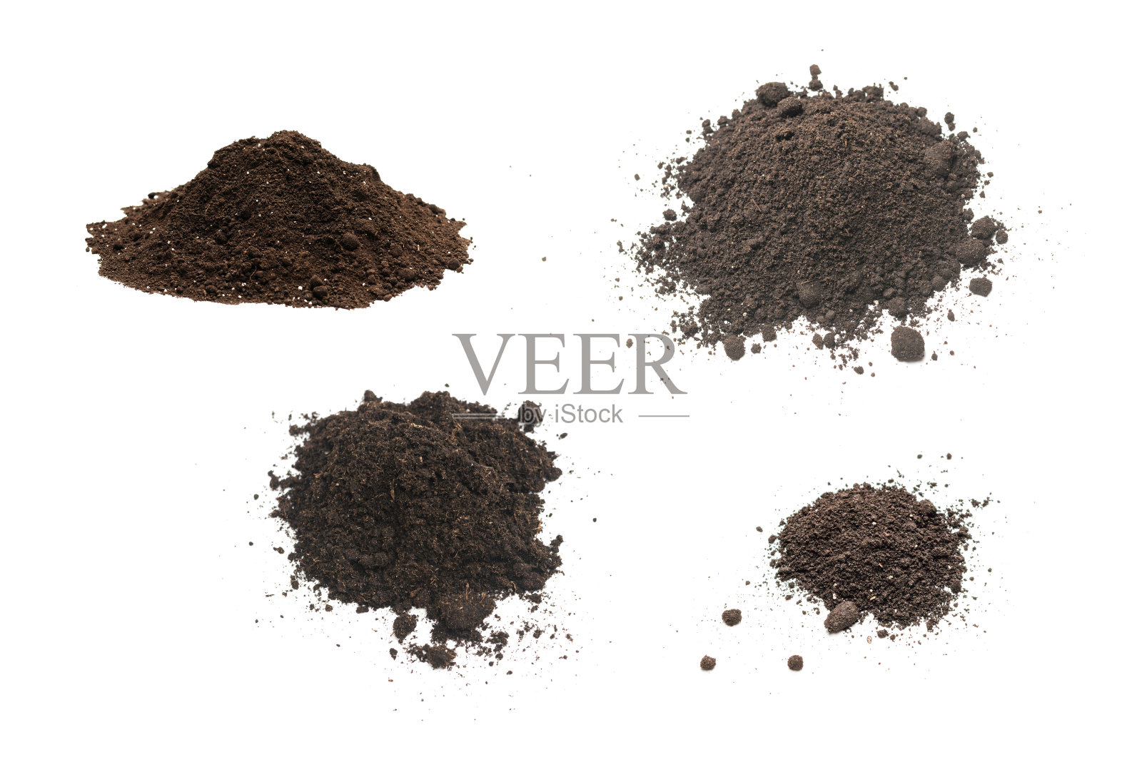 黑地适合在白底上孤立的植物。照片摄影图片