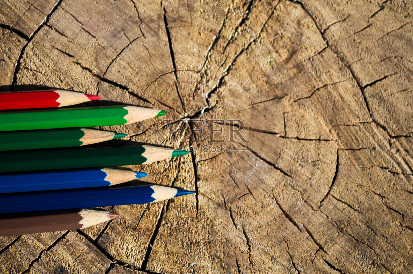 树桩上不同颜色的铅笔照片摄影图片