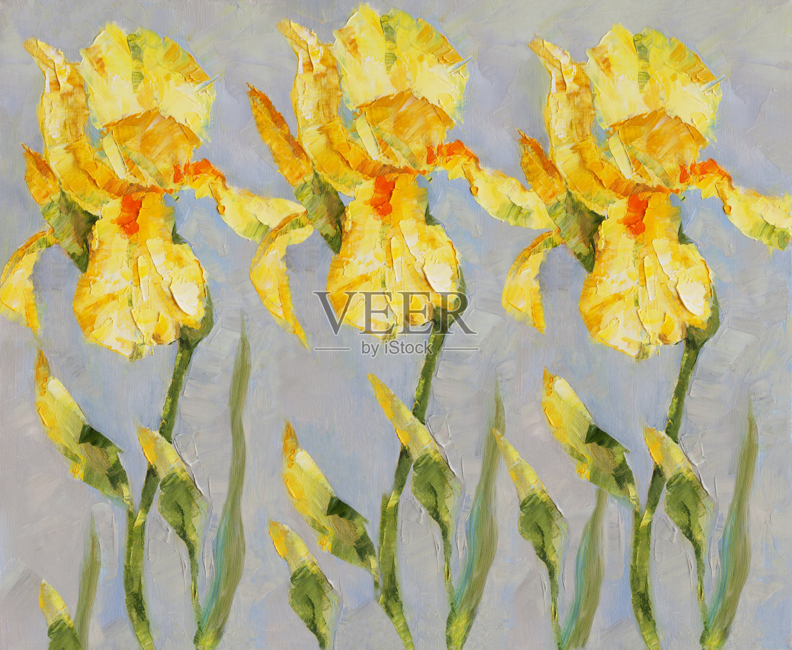 时尚的插画现代艺术作品我的油画原画春天的花朵印象派水平的静物枝干盛开着明亮的黄色阳光三蝴蝶花插画图片素材