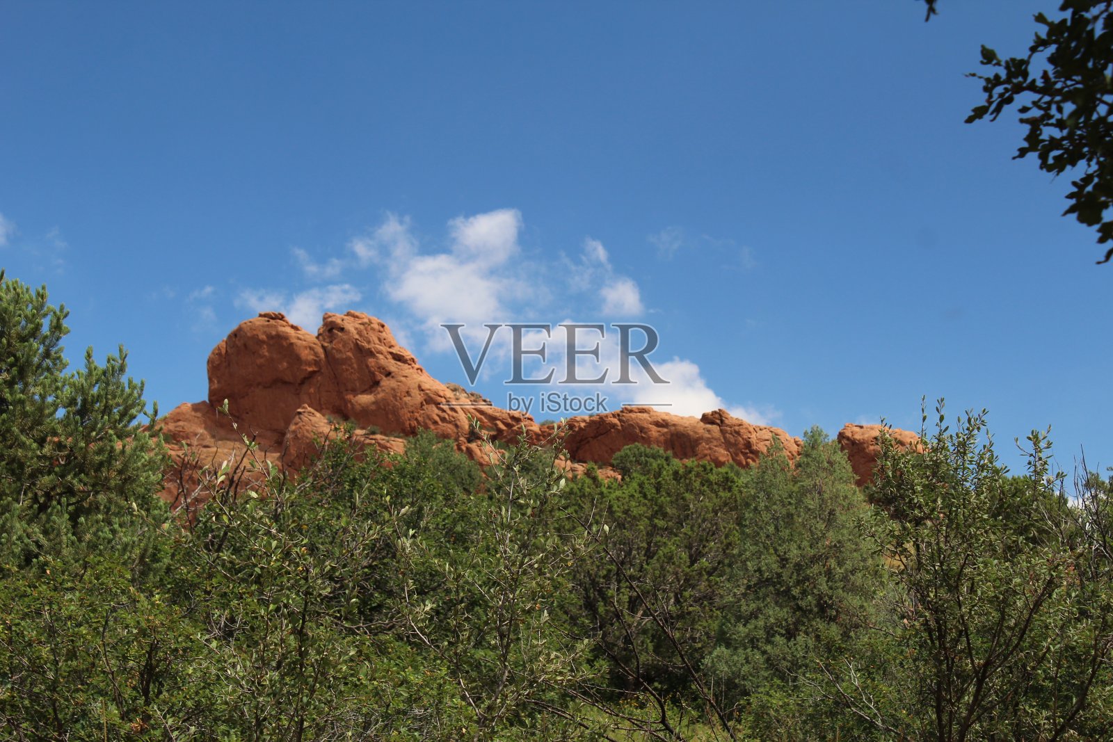 岩石与森林照片摄影图片