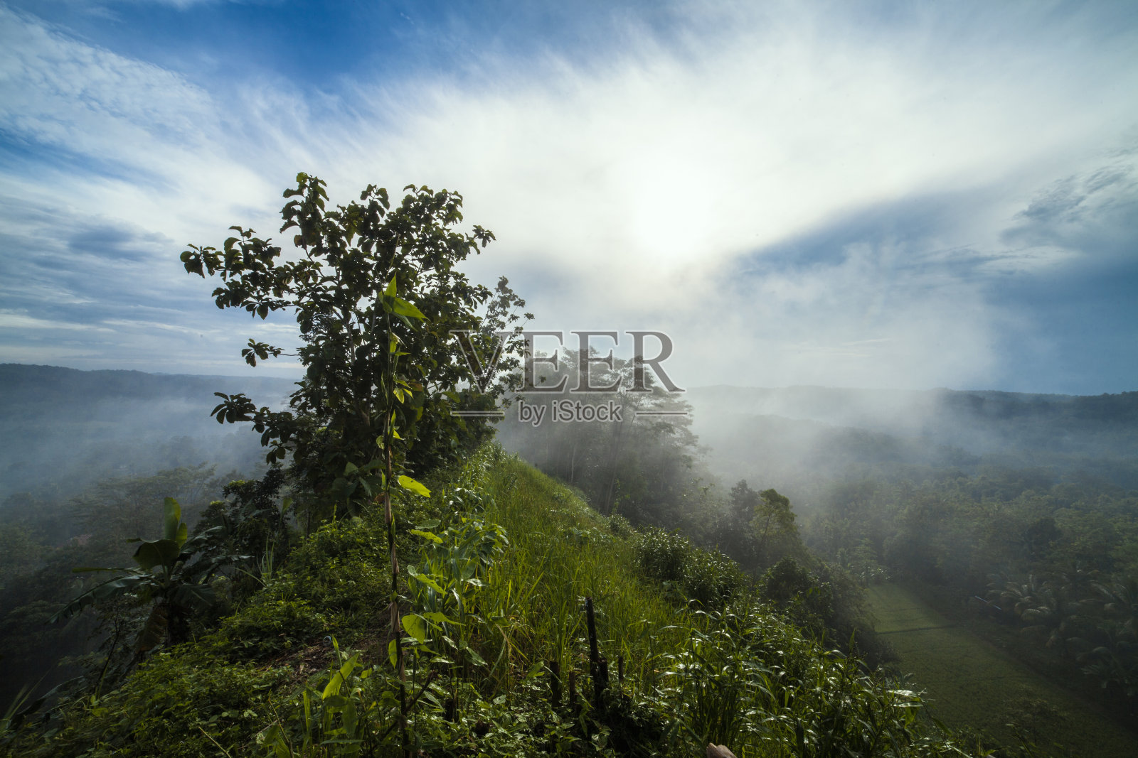 印度尼西亚爪哇西部Cianjur附近的森林和薄雾照片摄影图片