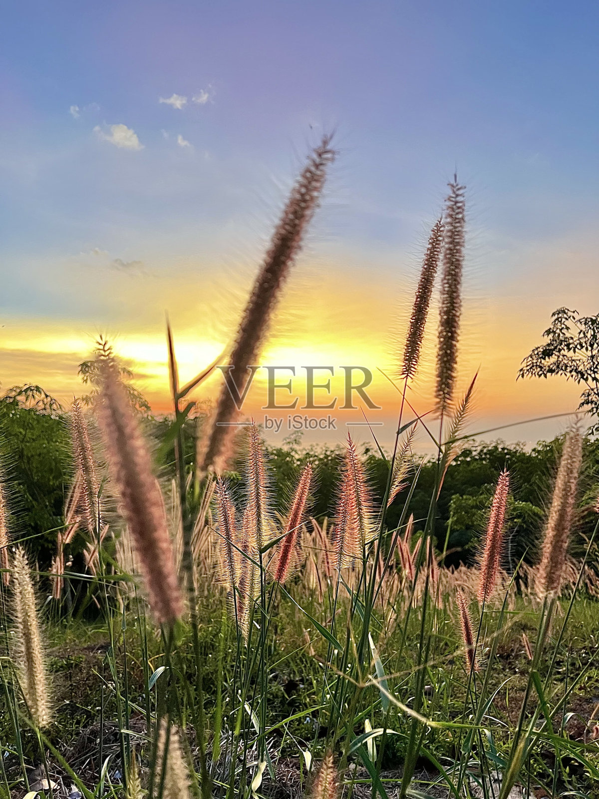 日落照片摄影图片