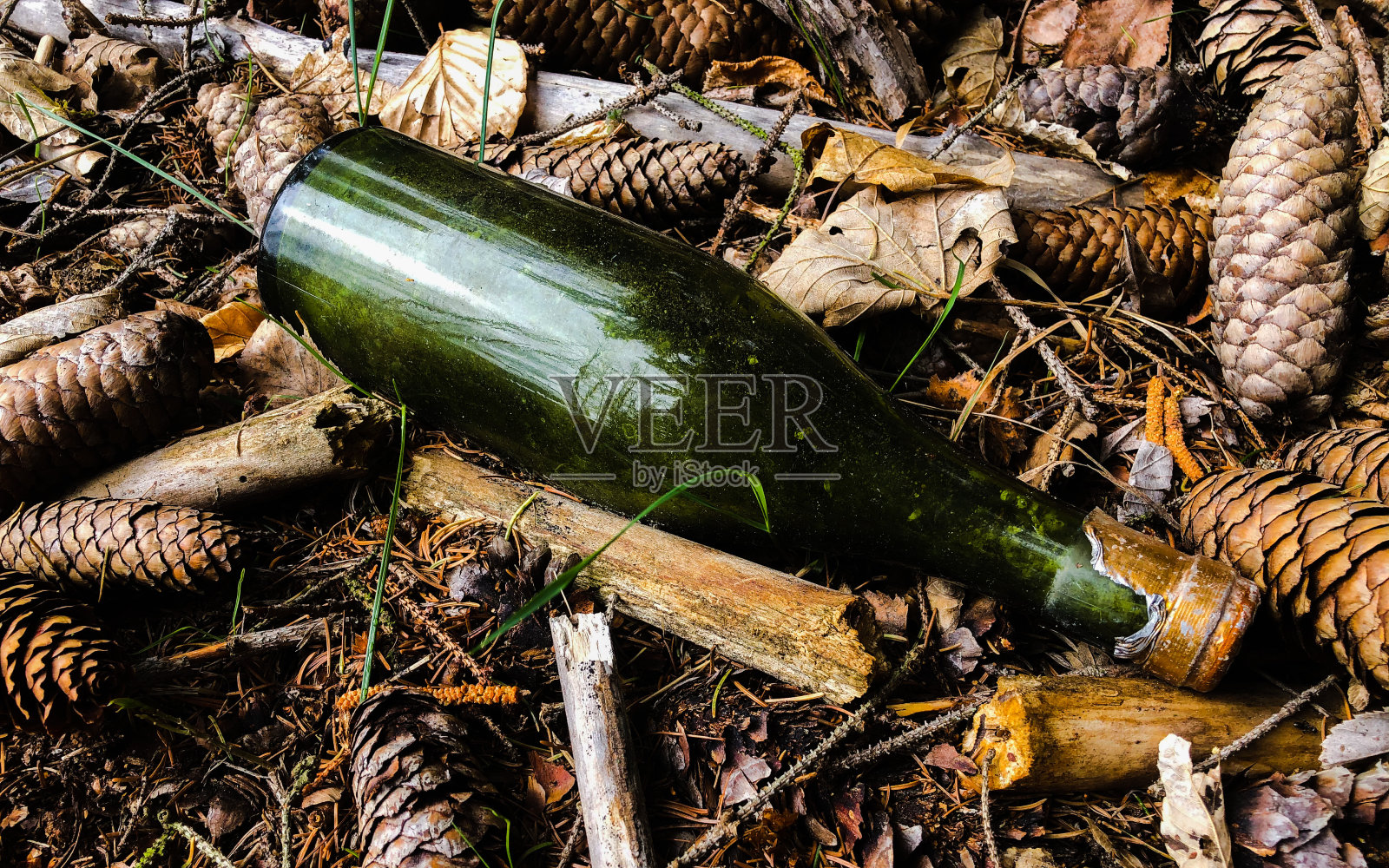 大自然的垃圾照片摄影图片