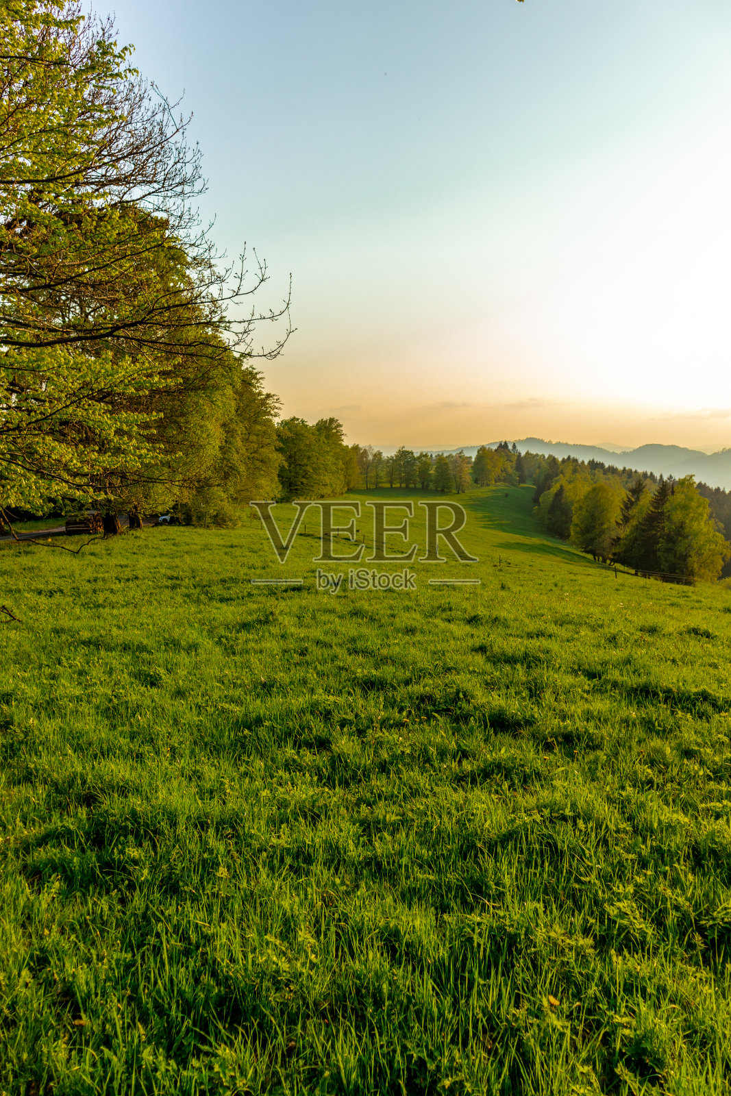弗洛-塞利根塔尔附近图林根森林高地的壮丽日落照片摄影图片