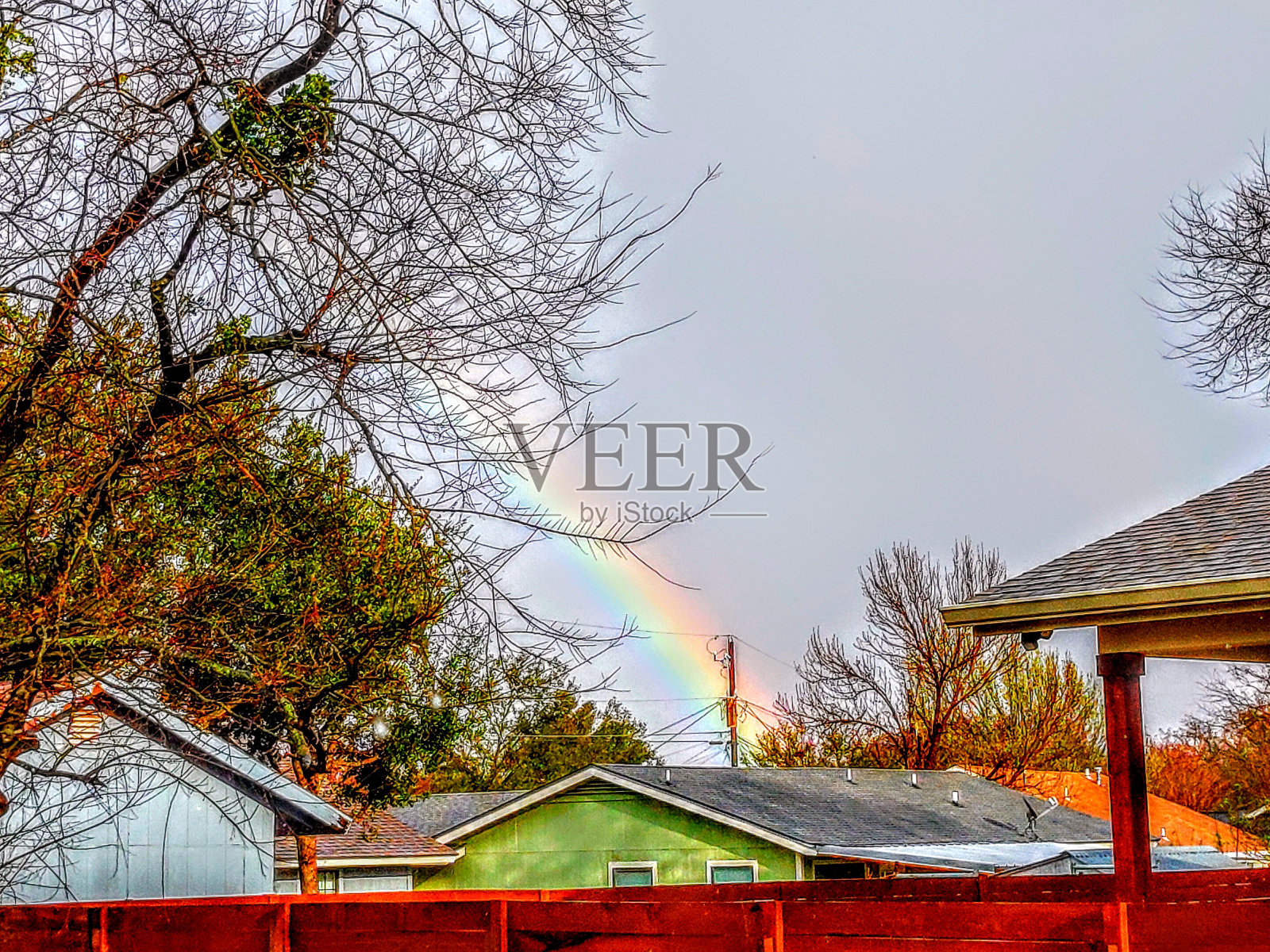 彩虹的肖像照片摄影图片