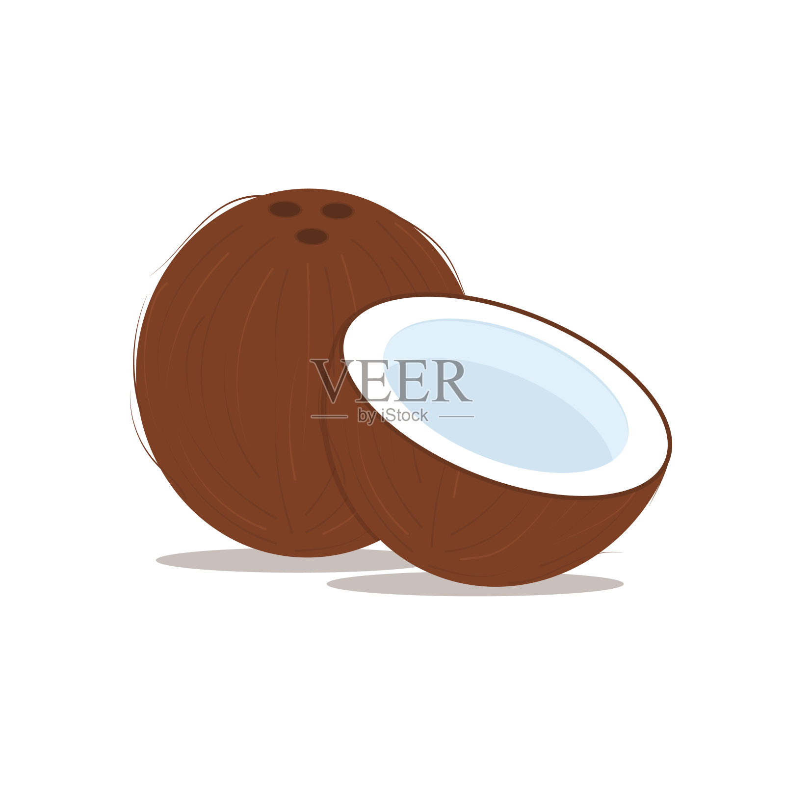 椰子整体和半平面矢量插图孤立在白色背景插画图片素材