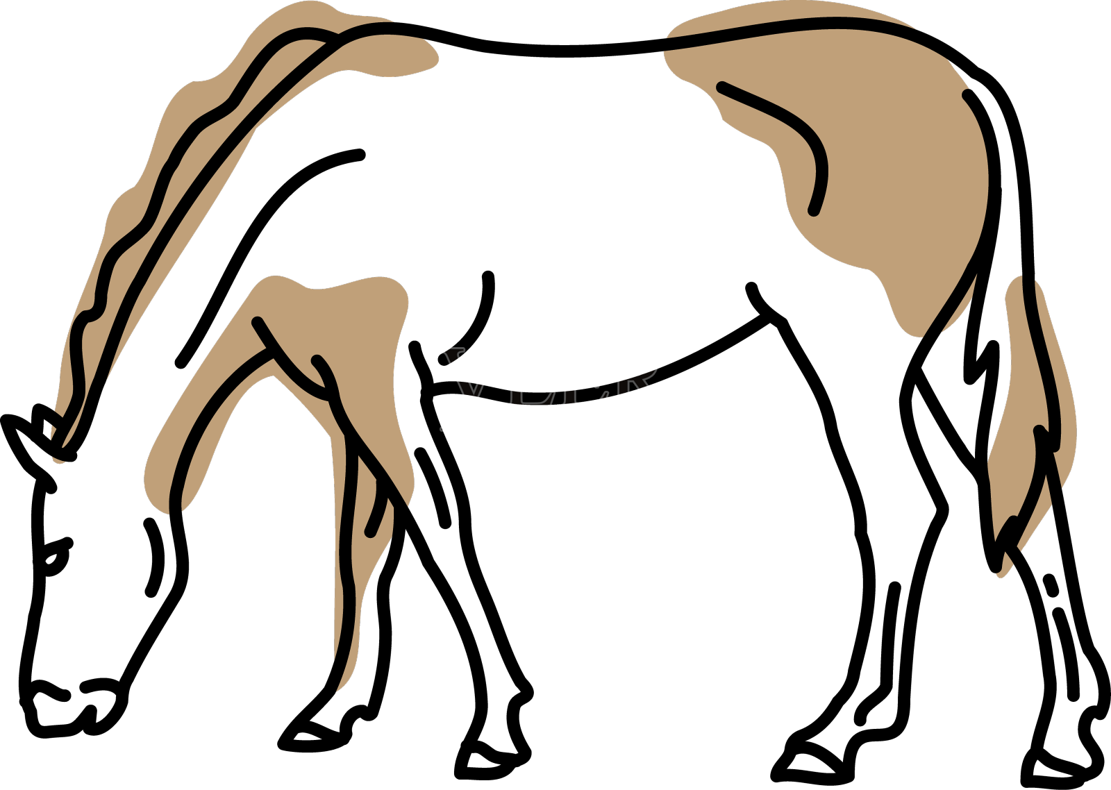 色彩笔触半彩色马设计元素图片