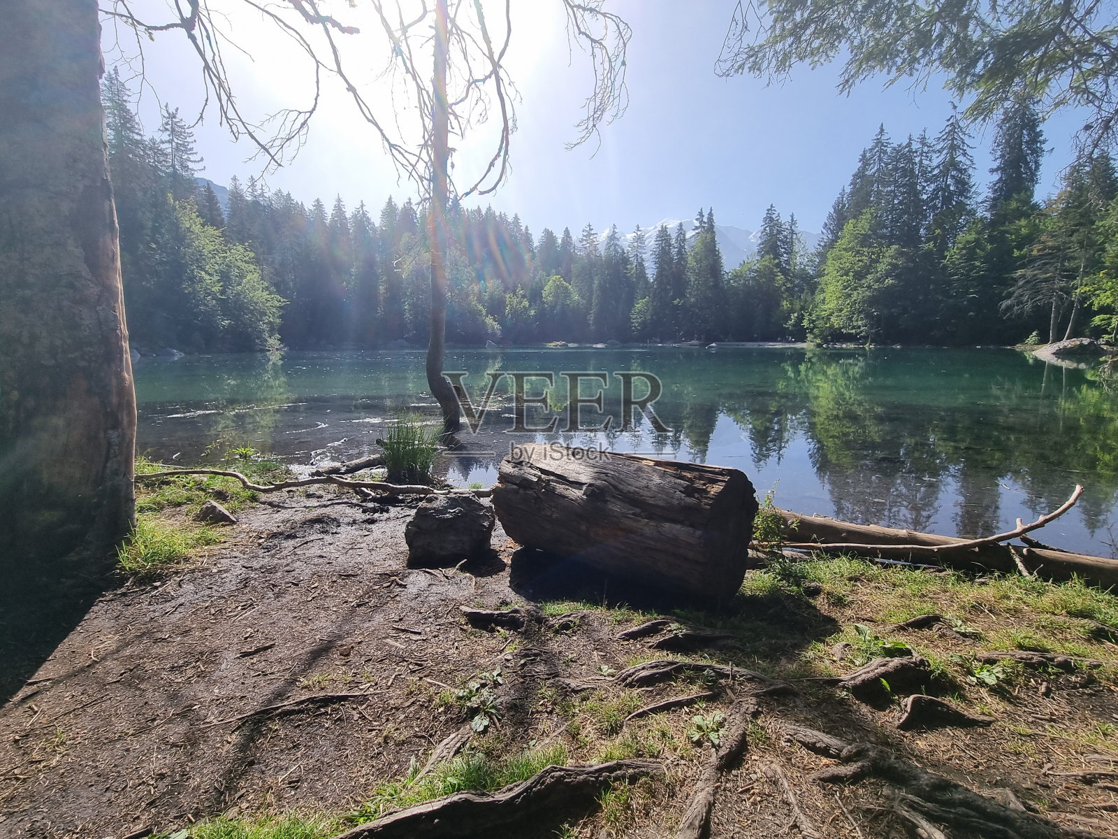 LAC绿色照片摄影图片