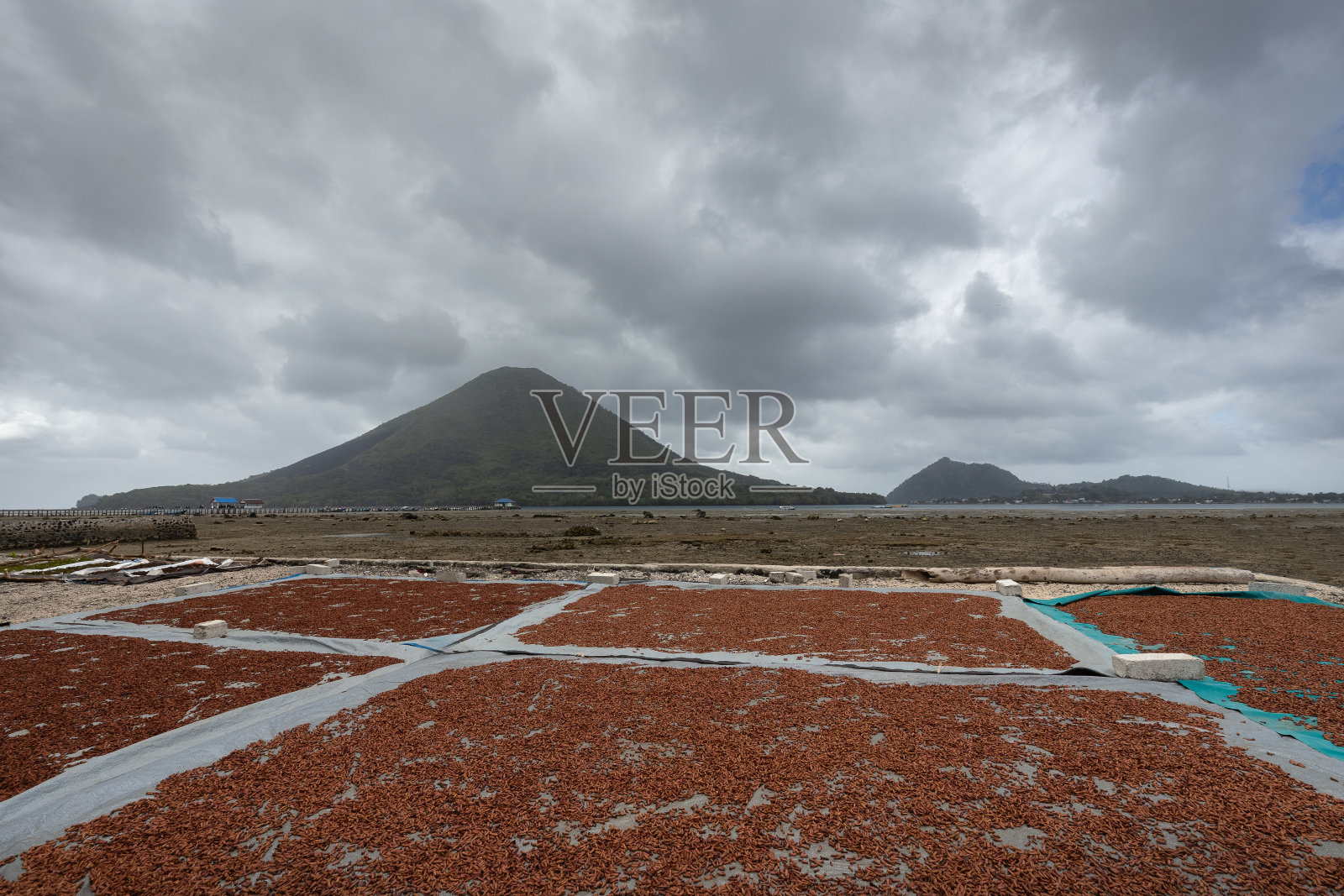 丁香香料在班达岛海岸干燥照片摄影图片