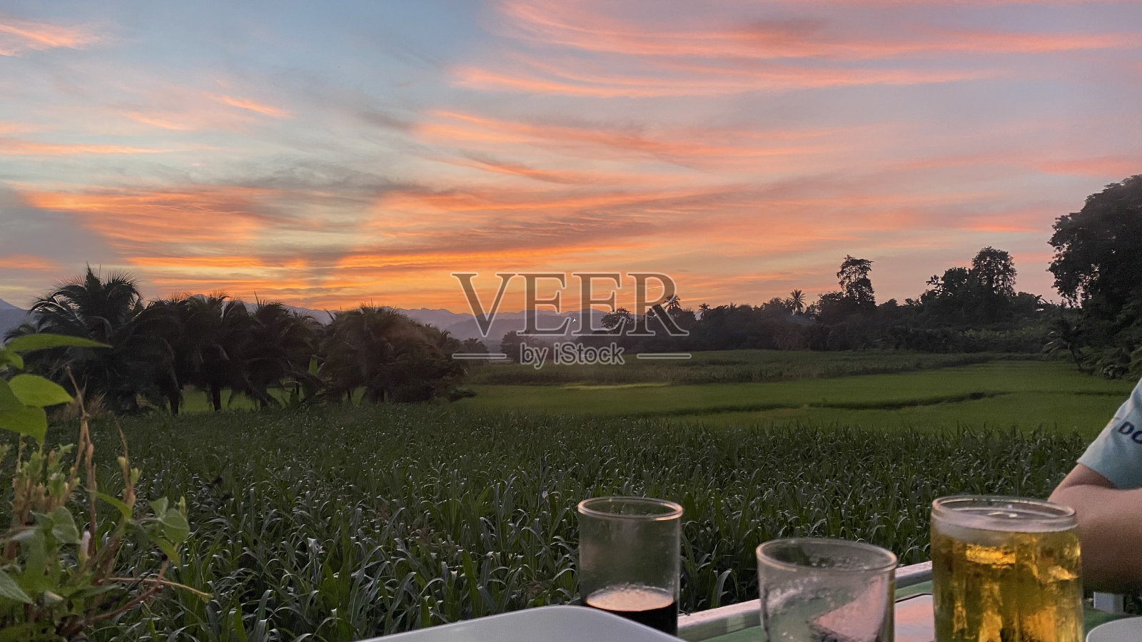 在稻田中间的餐馆照片摄影图片