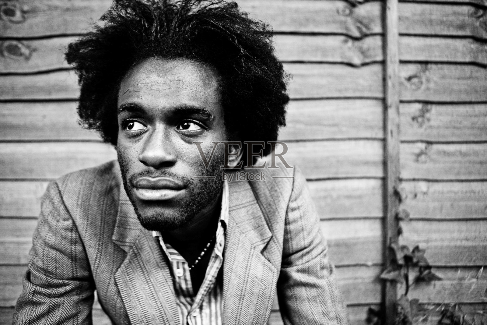 栅栏肖像照片摄影图片