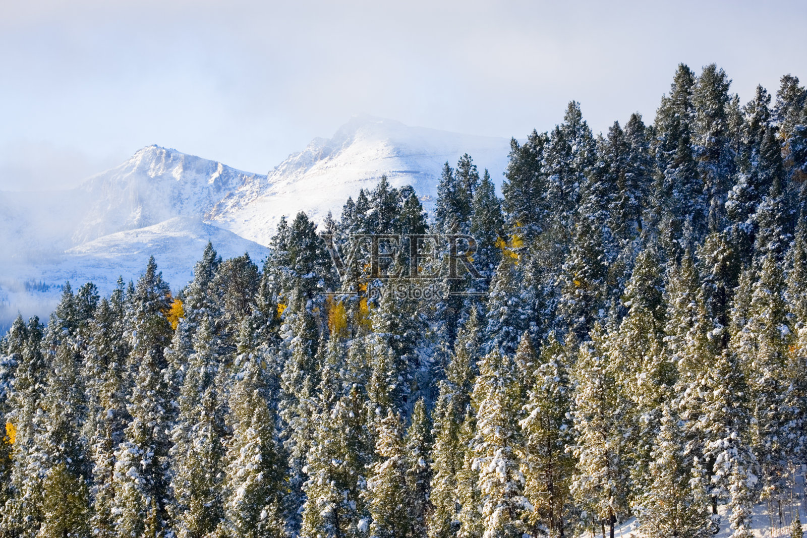 派克峰雪照片摄影图片