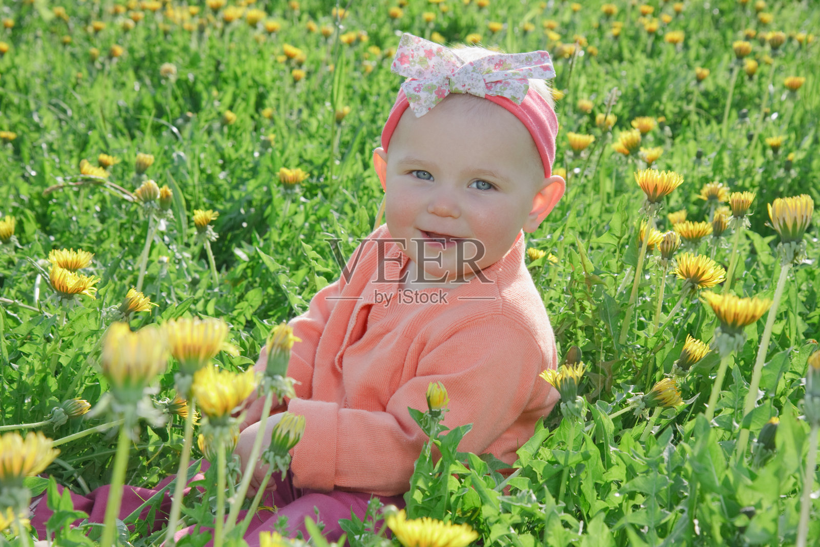 小女孩和蒲公英照片摄影图片