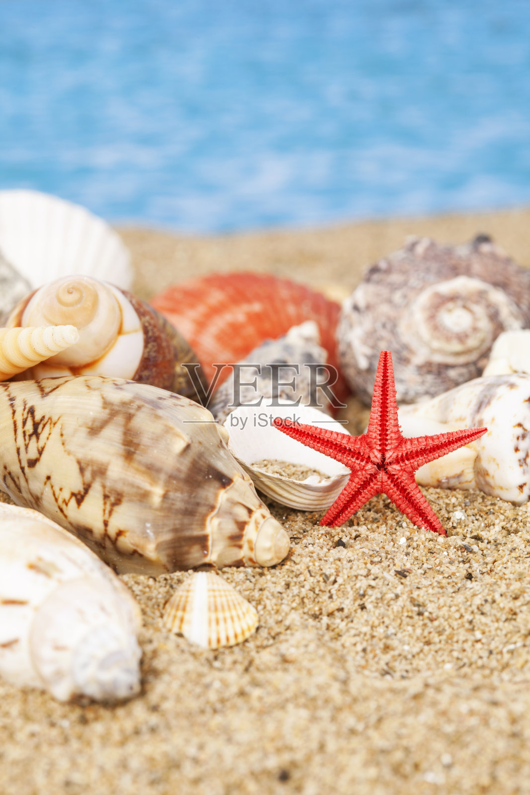 夏天的概念照片摄影图片