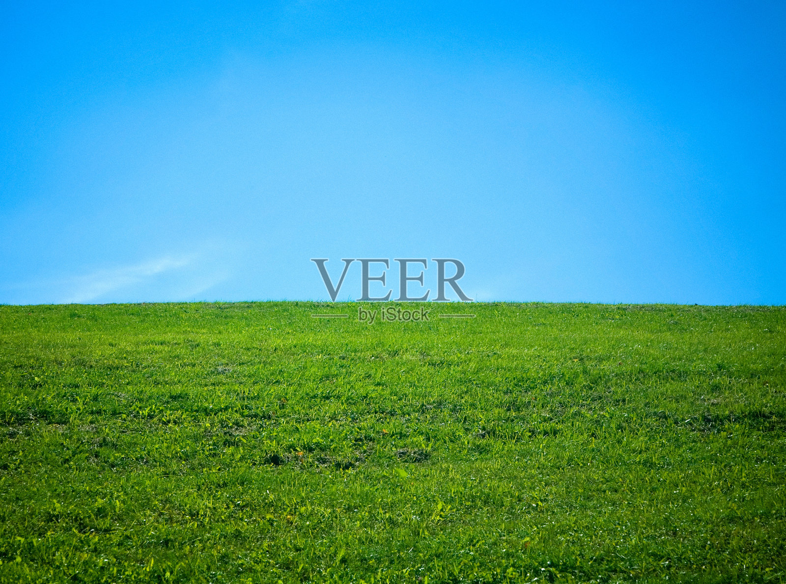 绿色和蓝色照片摄影图片