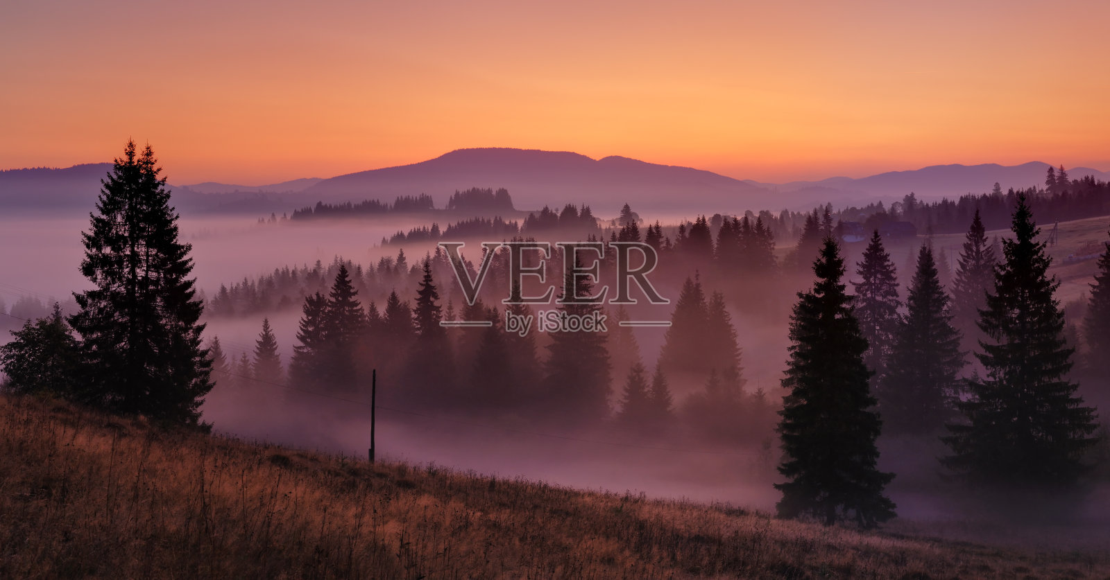 黎明时分，神秘的雾气笼罩着山上的树木照片摄影图片
