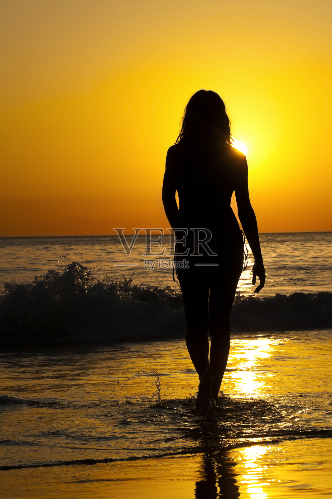 轮廓照片摄影图片