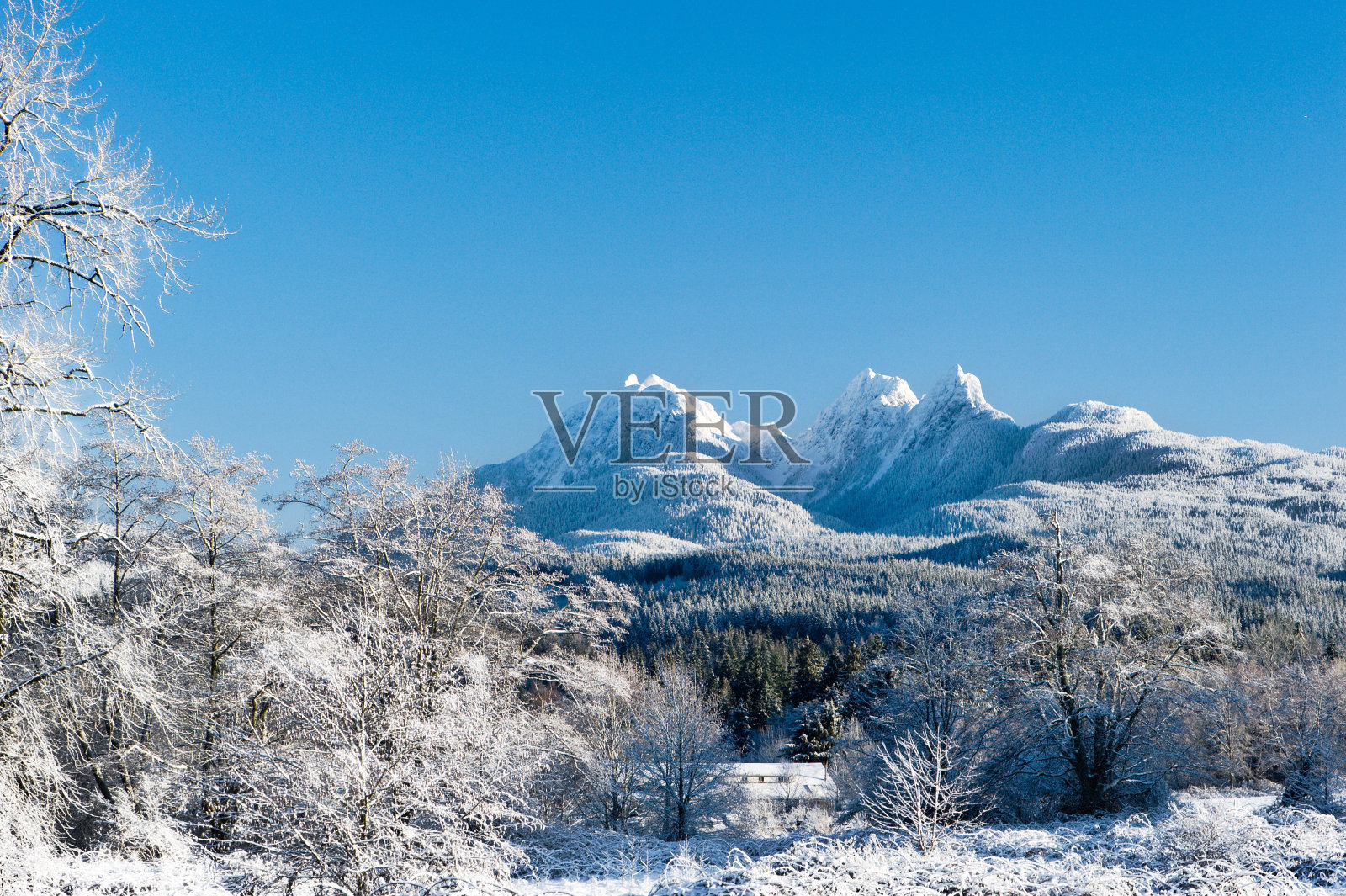 冬天的山照片摄影图片