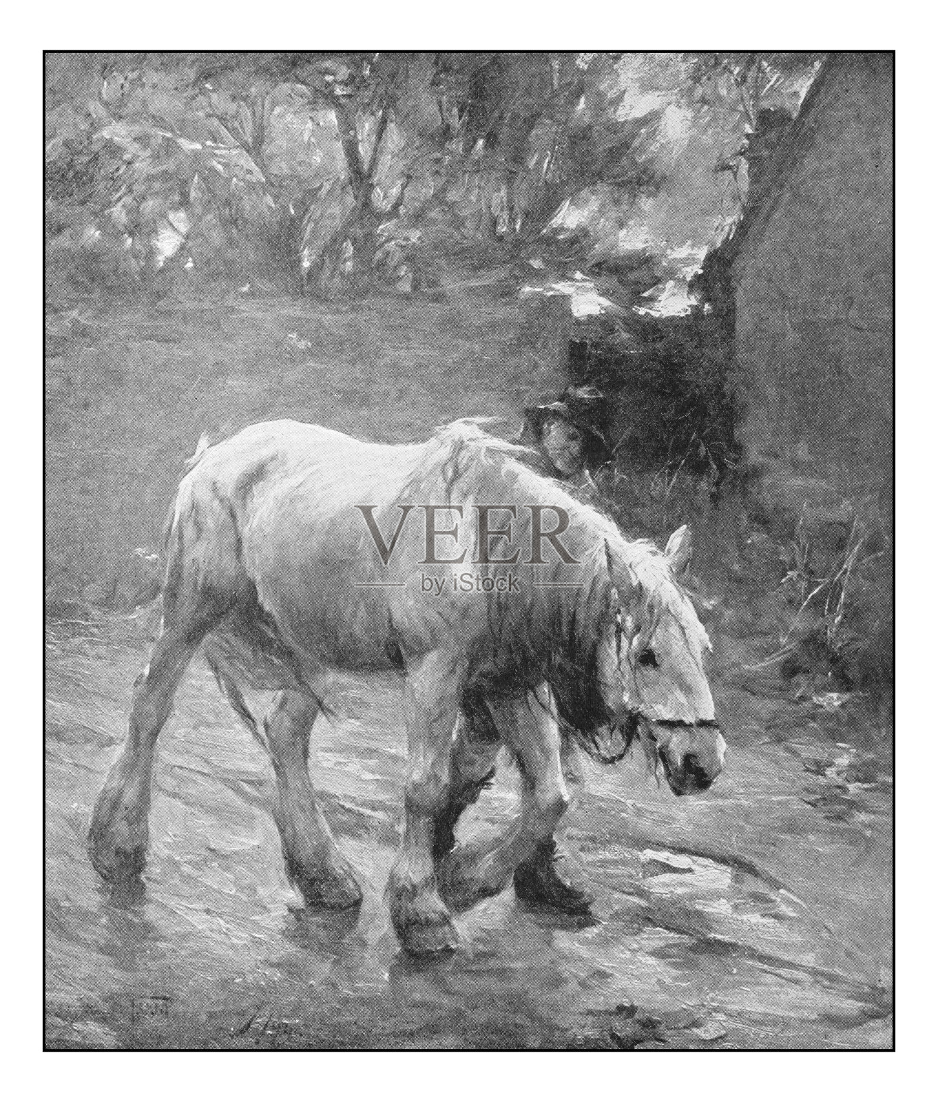 古董绘画照片:马和人插画图片素材