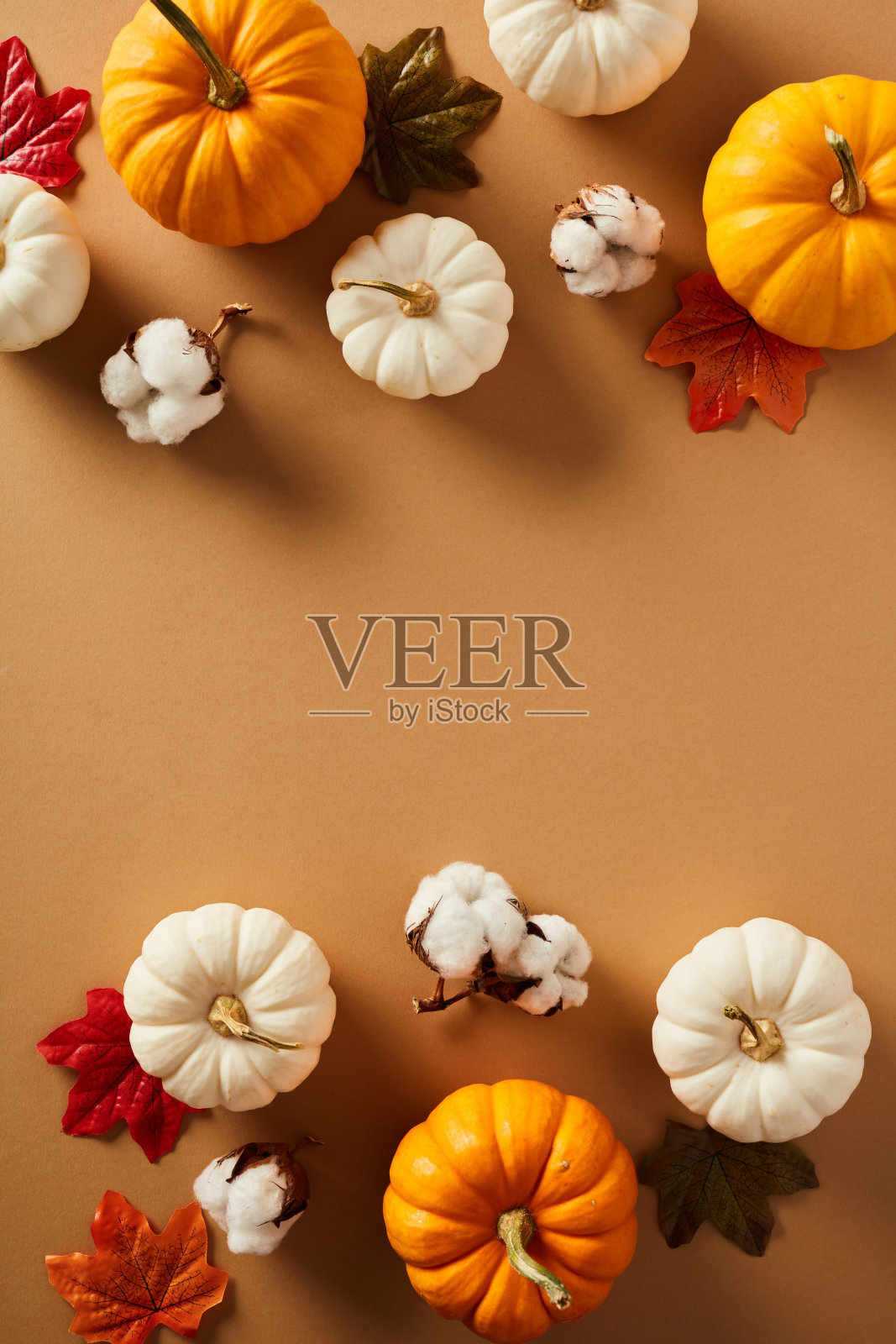 秋天的南瓜，棉花，秋天的枫叶在柔和的棕色背景。平铺，俯视图，复制空间。照片摄影图片