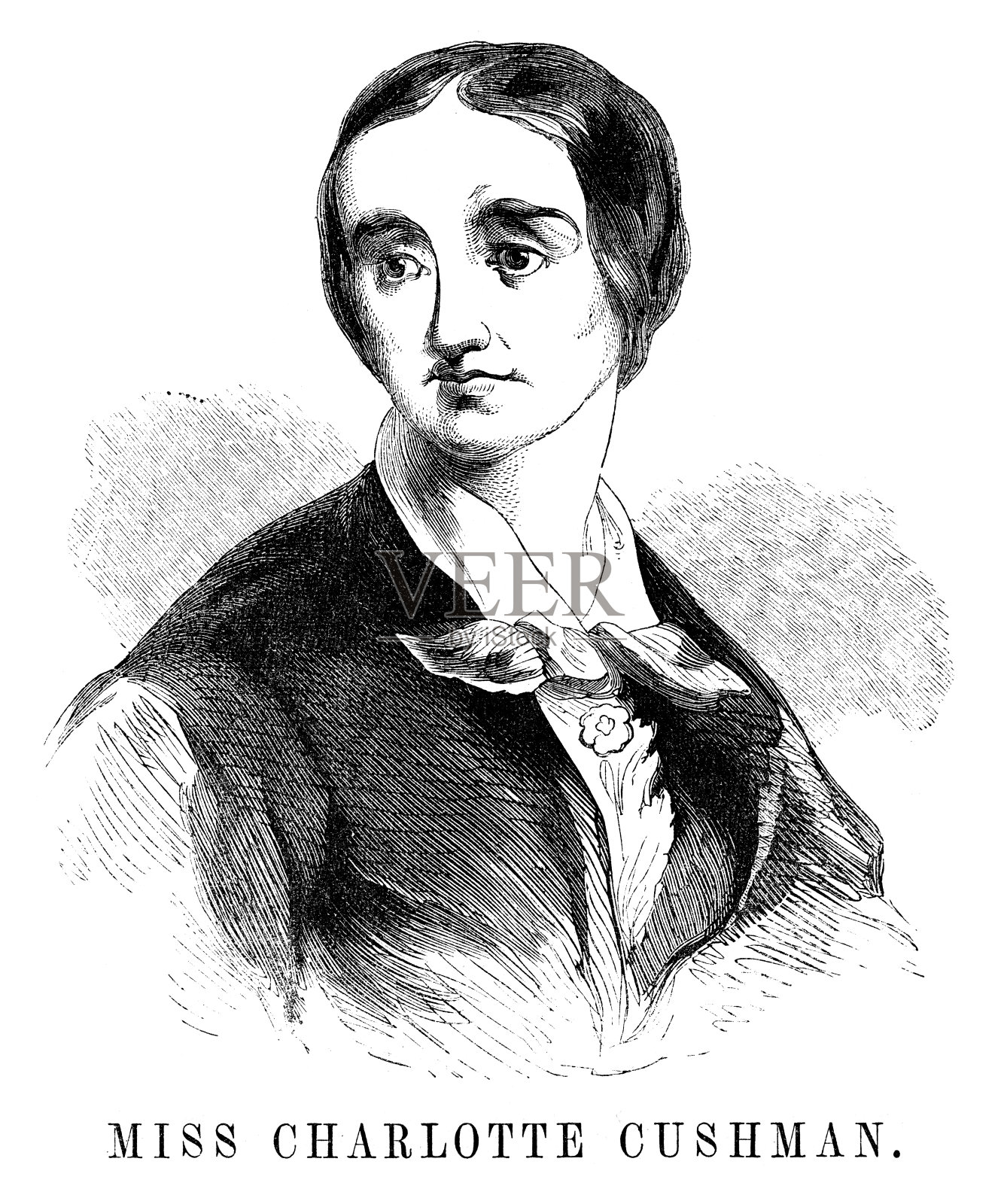 Cushman夏洛特插画图片素材