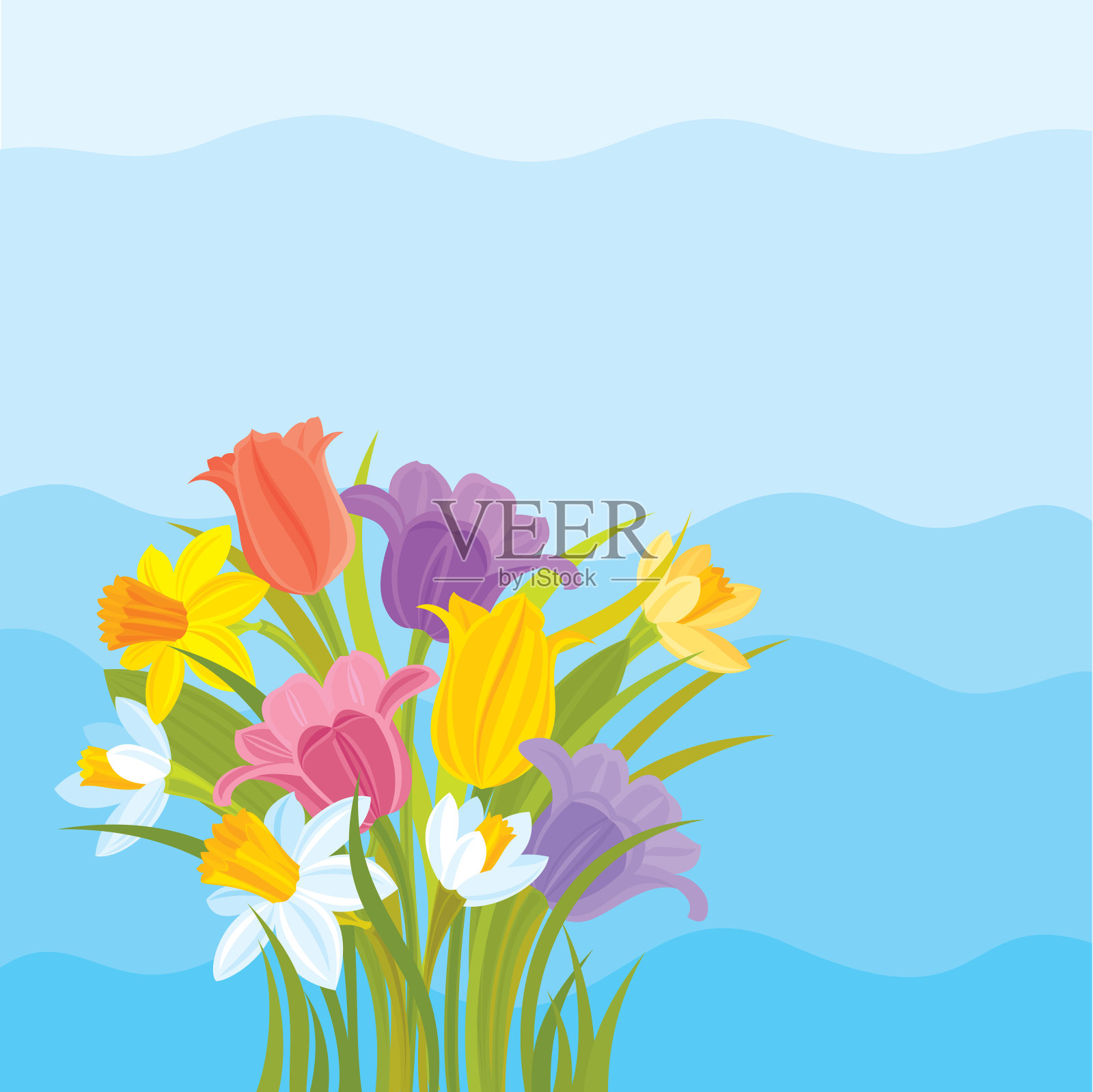 郁金香和水仙花背景插画图片素材