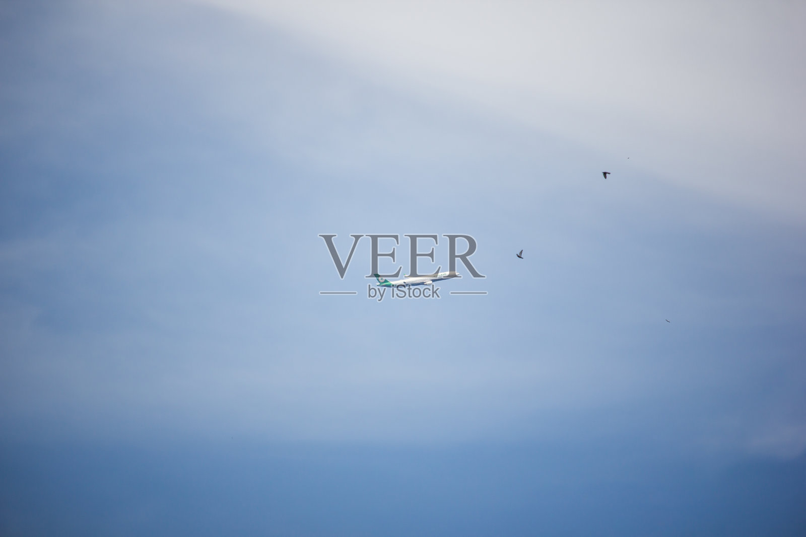 EvaAir的空客A330-300照片摄影图片