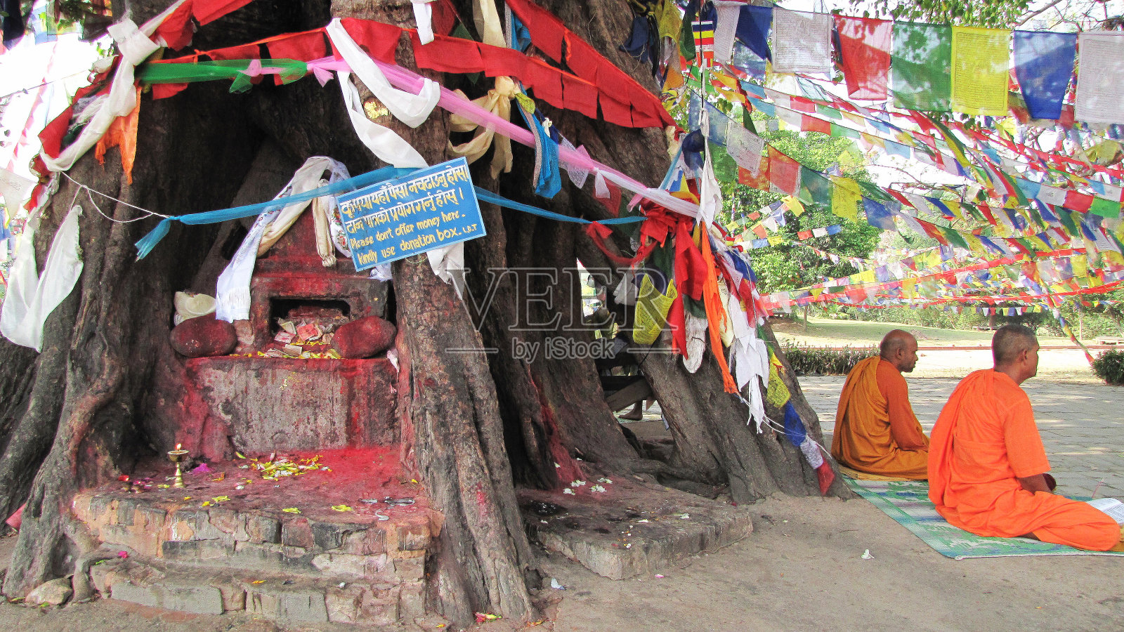 圣树下的僧侣们照片摄影图片