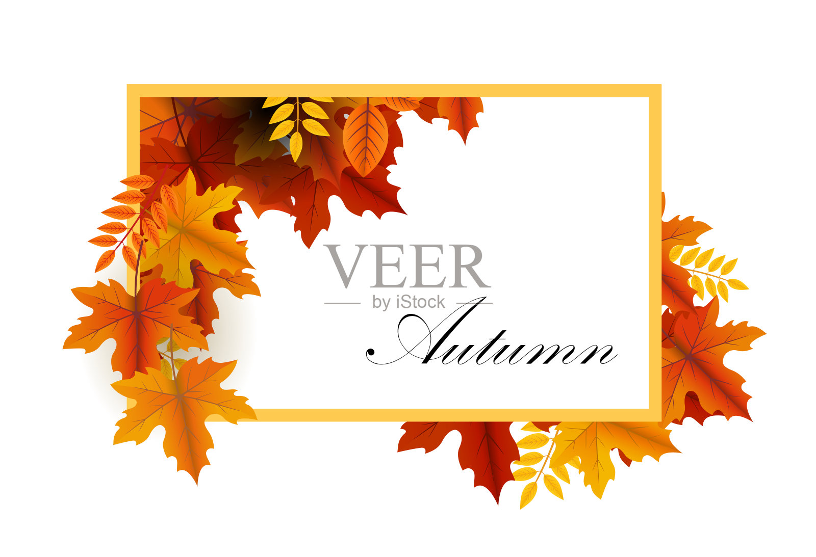 秋天的旗帜插画图片素材