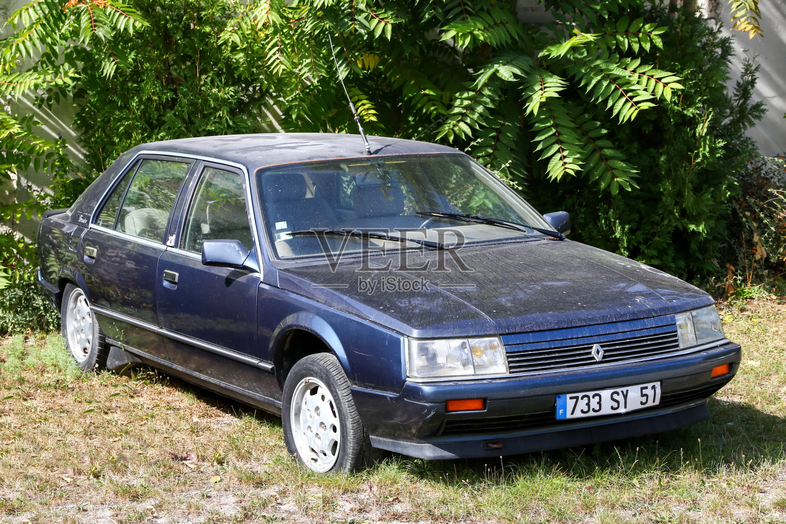 雷诺25照片摄影图片