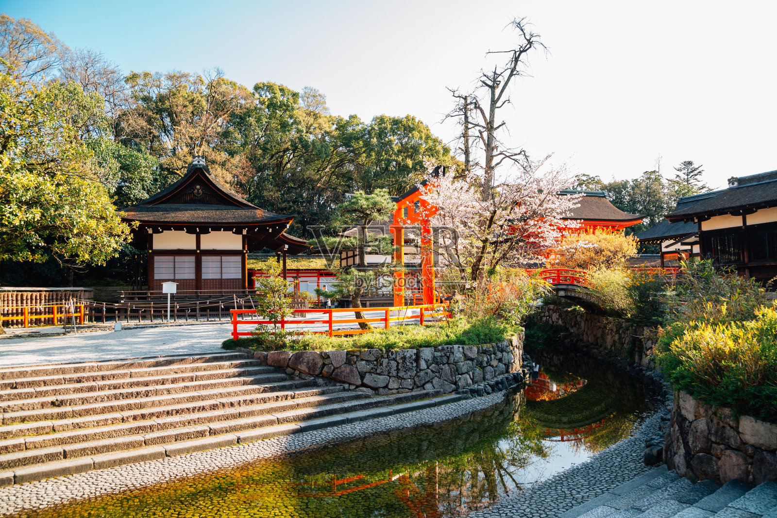 春天在日本京都的下至上神社照片摄影图片