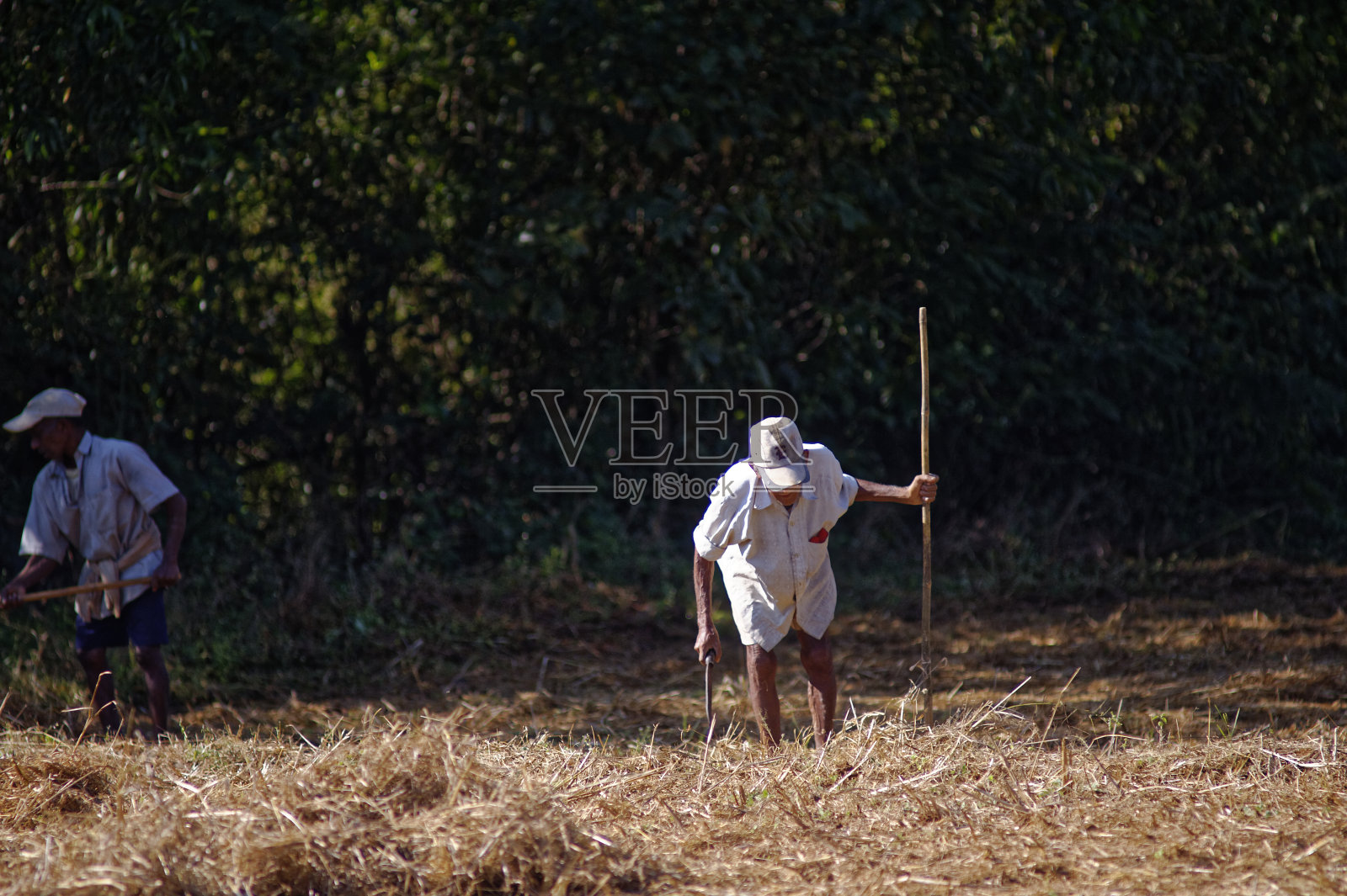 农场工人照片摄影图片